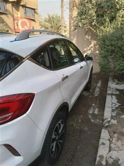 فاو بيستورن X80